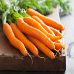 فروش ویژه هویج فرنگی آبگیری ارگانیک برای صادرات به قطر