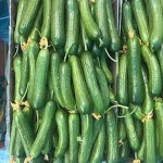 فروش خیار سبز محلی با بهترین کیفیت به بازار تهران به قیمت به صرفه