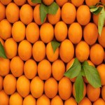 بهترین قیمت پرتقال درجه یک و مرغوب در بازار