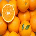 فروش عمده پرتقال آبگیری با قیمتی مناسب و باورنکردنی