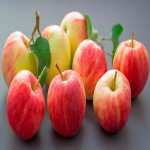 فروش عمده سیب درختی فرانسوی