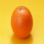 فروش عمده پرتقال تامسون به همراه قیمت در تره بار