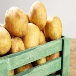 قیمت ارزان سیب زمینی با بهترین کیفیت در بازار