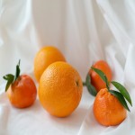 فروش عمده پرتقال پوست نازک با کیفیت به صورت انبوه