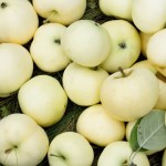 فروش ارزان سیب سفید در تهران