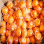 پخش عمده پرتقال نایلونی با قیمت مقرون به صرفه