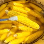 خرید انواع بلال درجه یک به قیمت مناسب