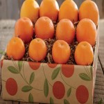 قیمت روز نارنگی شمال شیرین به صورت کارتنی در بازار داخلی
