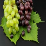 خرید انگور کشمشی بی دانه قرمز جهت صادرات به روسیه