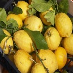خرید لیمو ترش ایرانی با بهترین قیمت وکیفیت اعلا