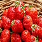خرید و فروش بی واسطه توت فرنگی های گلخانه ای بسته بندی شده با تخفیف ویژه