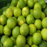 خرید لیمو ترش ایرانی با قیمت های مناسب و کیفیت بالا