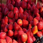 قیمت عمده و بی واسطه انواع توت فرنگی های کوهی تازه دست چین شده