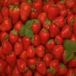 صادرات انواع توت فرنگی گلخانه ای با بسته بندی بهداشتی و با قیمت استثنائی به کشور لبنان