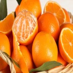 نازلترین قیمت عمده نارنگی پاکستانی تازه