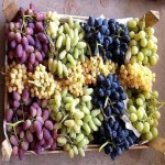 قیمت هر تن انگور جهت صادرات و فروش در بازارهای ترکیه