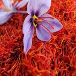 زعفران تمام طبیعی ایرانی 50 گرمی
