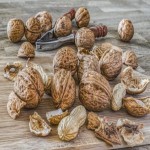 خرید انواع گردو با پوست در بسته بندی بهداشتی با طعمی عالی