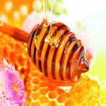 عسل طبیعی ایرانی 100% خالص بسته بندی 20 کیلوگرمی