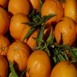 میوه پرتقال ماندارین تازه با کیفیت بالا برای مقادیر عمده