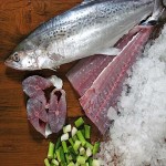 سفارش ماهی ساردین منجمد با قیمت ارزان از بندرعباس