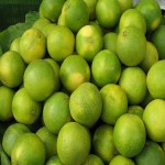 عرضه وپخش انواع لیمو ترش ایرانی و خارجی