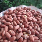 قیمت بادام زمینی دو آتیشه در خشکبار فروشی های اصفهان