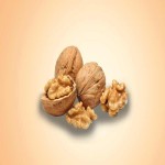 خرید و فروش عمده گردو ایرانی با ارسال فوری