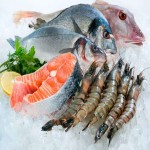 خرید انواع ماهی تازه و صید روز با قیمت ارزان