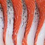 قیمت ماهی سالمون صید امروز در بندرعباس برای صادرات