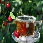 خرید چای آلبالو با قیمتی ویژه در بسته بندی 10 عددی