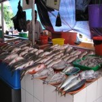 فروش ویژه ماهی تیلاپیا تازه با سایز بزرگ زیر قیمت بازار