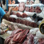 خرید انواع ماهی پاک شده و تازه با قیمت های باورنکردنی