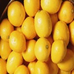 خرید فله ای لیمو ترش درجه یک آبدار به قیمت پای مزرعه
