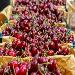 خرید آلبالو از فروشندگان منصف میوه در ایران