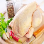 خرید عمده گوشت مرغ درجه یک با بسته بندی صادراتی