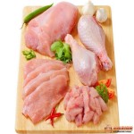 خرید گوشت مرغ تازه به کمترین قیمت کشتار روز
