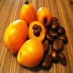 خرید میوه ازگیل صادراتی از فروشندگان معتبر و منصف