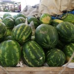 خرید عمده هندوانه سبز خطی با ارزان ترین قیمت