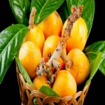 قیمت هر کیلو میوه ازگیل در میوه فروشی های اصفهان