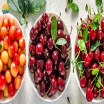 خرید آلبالو به صورت تازه با قیمتی استثنایی