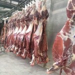 خرید گوشت گوساله و گوسفندی از مراکز معتبر
