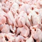 قیمت خرید گوشت مرغ در روسیه