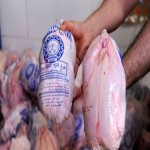 قیمت گوشت مرغ یخ زده در بازار محصولات پروتئینی منجمد