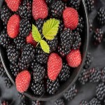 فروش ارزان میوه ی شاه توت سیاه بهداشتی و تازه