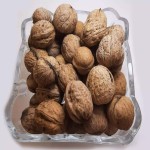 خرید عمده گردو با پوست تازه با بهترین کیفیت و قیمت