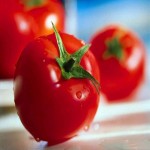 خرید مستقیم گوجه فرنگی تازه در بسته های مناسب