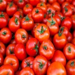 ثبت سفارش خرید عمده ای گوجه فرنگی ارگانیک با کیفیت بالا