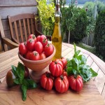 خرید به صرفه گوجه فرنگی ربی از بازار تره بار