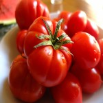 خرید عمده گوجه فرنگی صادراتی با قیمت ارزان